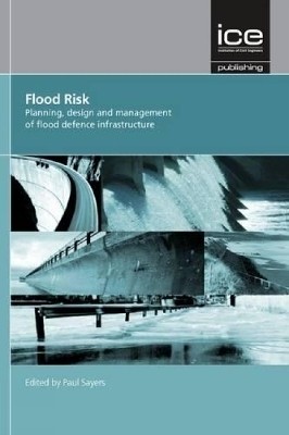 Flood Risk(English, Hardcover, Sayers Paul)