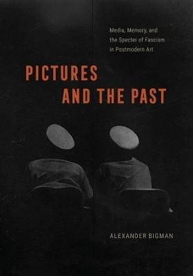 Pictures and the Past(English, Hardcover, Bigman Alexander)