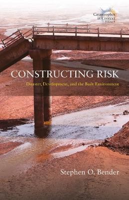 Constructing Risk(English, Electronic book text, Bender Stephen O.)