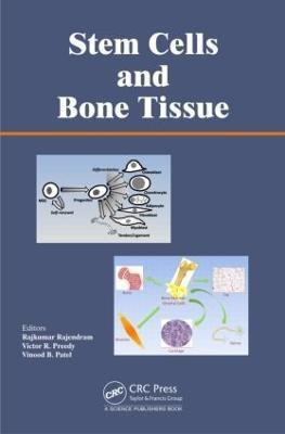 Stem Cells and Bone Tissue(English, Hardcover, unknown)