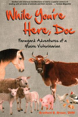 While You're Here, Doc(English, Paperback, Brown Bradford B)