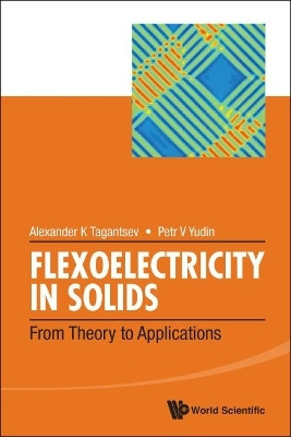 Flexoelectricity In Solids: From Theory To Applications(English, Hardcover, unknown)