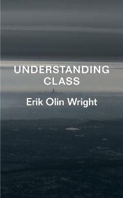 Understanding Class(English, Paperback, Wright Erik Olin)