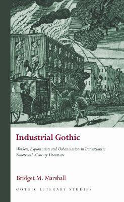 Industrial Gothic(English, Hardcover, Marshall Bridget M.)