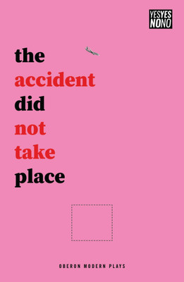 The accident did not take place(English, Paperback, Ward Sam)
