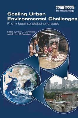 Scaling Urban Environmental Challenges(English, Paperback, unknown)