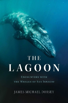 The Lagoon(English, Hardcover, Dorsey James Michael)
