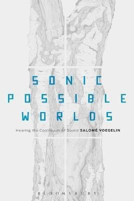 Sonic Possible Worlds(English, Electronic book text, Voegelin Salome Dr)