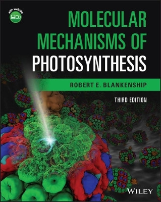 Molecular Mechanisms of Photosynthesis(English, Paperback, Blankenship Robert E.)