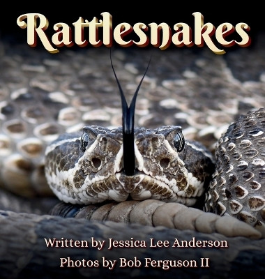 Rattlesnakes(English, Hardcover, Anderson Jessica Lee)