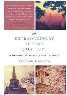 An Extraordinary Theory of Objects(English, Paperback, LaCava Stephanie)