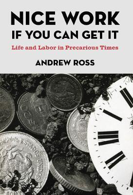 Nice Work If You Can Get It(English, Paperback, Ross Andrew)