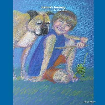 Joshua's Journey: the Secret of the Chameleon(English, Paperback, Brooks Susan E.)