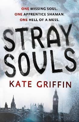 Stray Souls(English, Paperback, Griffin Kate)