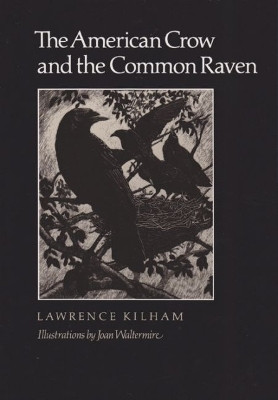 The American Crow & Common Raven(English, Paperback, unknown)