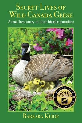 Secret Lives of Wild Canada Geese(English, Paperback, Klide Barbara)