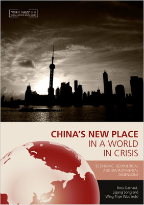 China's New Place in a World in Crisis 2009(English, Paperback, unknown)
