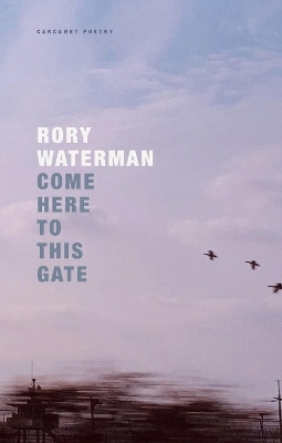 Come Here To This Gate(English, Paperback, Waterman Rory)