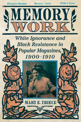 Memory Work(English, Paperback, Triece Mary E.)