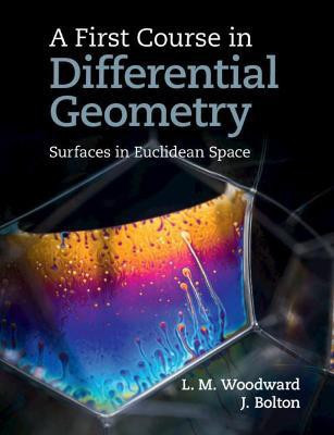 A First Course in Differential Geometry(English, Paperback, Woodward Lyndon)