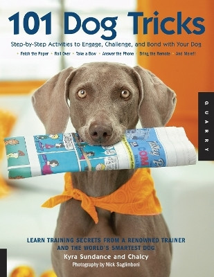101 Dog Tricks: Volume 1(English, Paperback, Sundance Kyra)