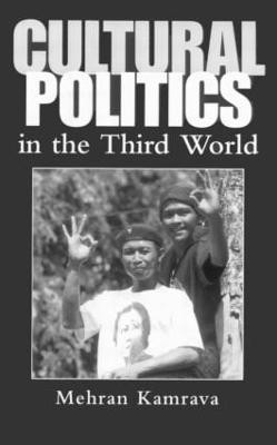 Cultural Politics in the Third World(English, Paperback, Kamrava Mehran)