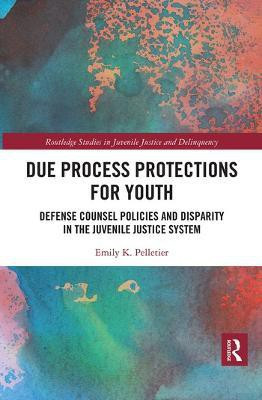 Due Process Protections for Youth(English, Paperback, Pelletier Emily K.)