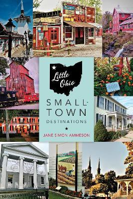 Little Ohio(English, Paperback, Ammeson Jane Simon)