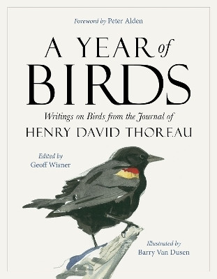 A Year of Birds(English, Paperback, Dusen Barry Van)