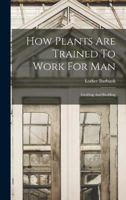 How Plants Are Trained To Work For Man(English, Hardcover, Burbank Luther)