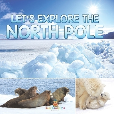 Let's Explore the North Pole(English, Paperback, Baby Professor)
