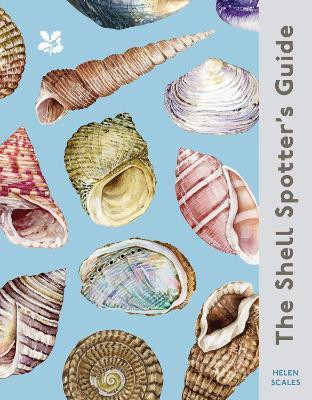 The Shell Spotter's Guide(English, Hardcover, Scales Helen)