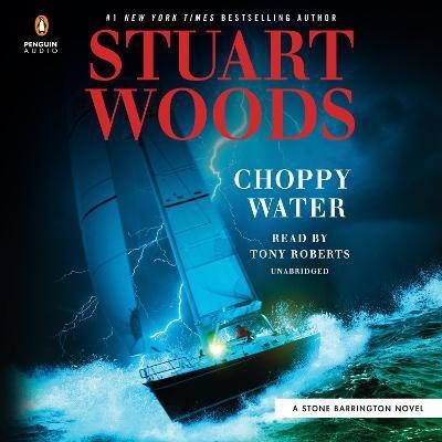 Choppy Water(English, CD-Audio, Woods Stuart)