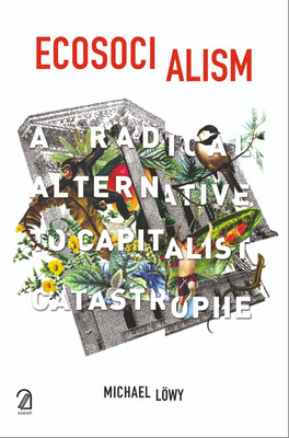 ECOSOCIALISM: A Radical Alternative to Capitalist Catastrophe(Paperback, Michael Löwy)
