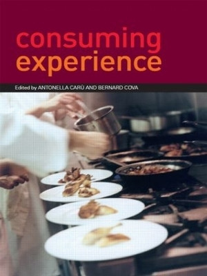 Consuming Experience(English, Paperback, unknown)