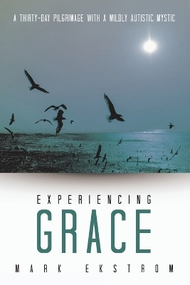 Experiencing Grace(English, Paperback, Ekstrom Mark)