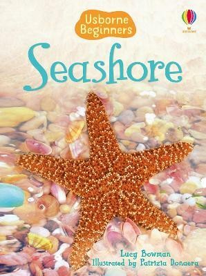 Seashore(English, Hardcover, Bowman Lucy)