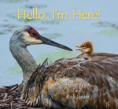Hello, I'm Here!(English, Hardcover, Frost Helen)