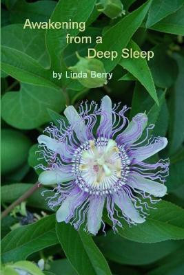 Awakening from A Deep Sleep(English, Paperback, Berry Linda)