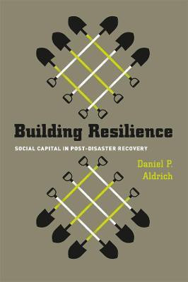 Building Resilience - Social Capital in Post-Disaster Recovery(English, Paperback, Aldrich Daniel)