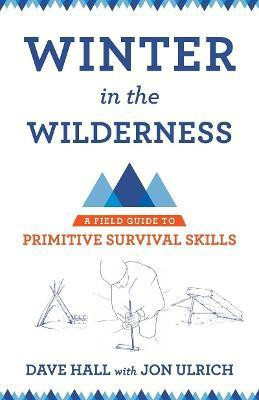 Winter in the Wilderness(English, Paperback, Hall Dave)