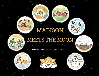 Madison Meets the Moon(English, Paperback, Catucci Susan Erikson)