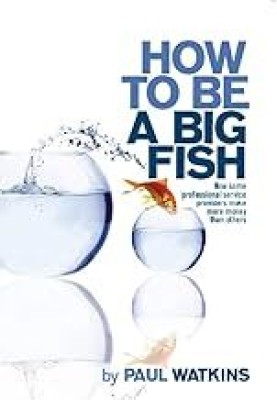 HOW TO BE A BIG FISH(Paperback, PAUL WATKINS)