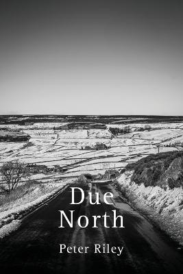 Due North(English, Paperback, Riley Peter)