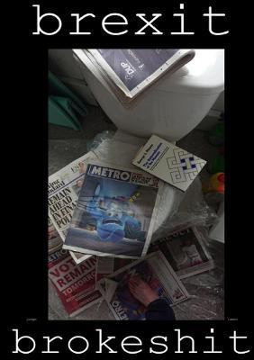 Brexit Brokeshit(English, Paperback, Robert Joseph)