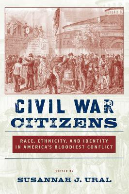 Civil War Citizens(English, Paperback, unknown)