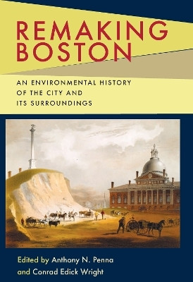 Remaking Boston(English, Hardcover, unknown)