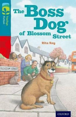 Oxford Reading Tree TreeTops Fiction: Level 9 More Pack A: The Boss Dog of Blossom Street(English, Paperback, Ray Rita)