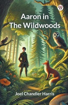 Aaron in the Wildwoods(Paperback, Joel Chandler Harris)