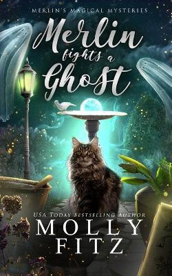Merlin Fights a Ghost(English, Paperback, Fitz Molly)